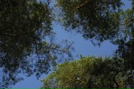 Фотография Белун Полины