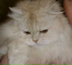 Фотография Пивоваровой Елены