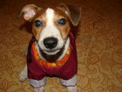 Фотография Кривчиков Артём