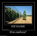 Дмитрий Ганчук фотография #27 (источник - https://vk.com/id1532509)