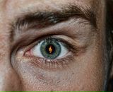 Фотография Морозова Евгения