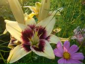 Фотография Подчерниной Ирины