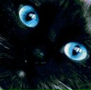 Фотография Багрецовой Аэлиты