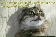 Фотография Каримова Ильдара