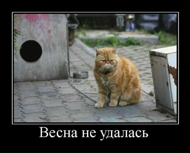 №14, Масямка Про, Санкт-Петербург №14, Масямка Про, Санкт-Петербург