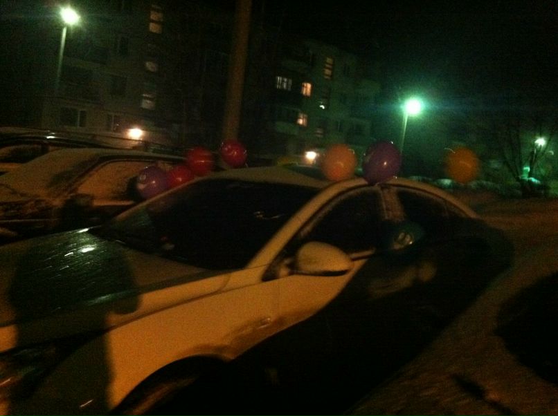 Дима Плотников фотография #49