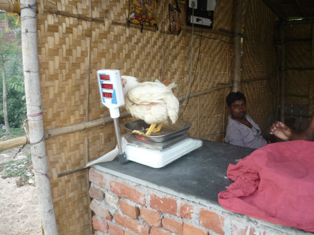 Roman Khromtsov фотография #42