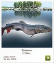 Людмила Бабікова фотография #25 (источник - https://vk.com/id155289329)