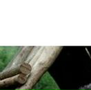 Тетяна Черешньовська фотография #10 (источник - https://vk.com/id13292895)