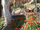 Кароліна Олефіренко фотография #26 (источник - https://vk.com/id352476256)