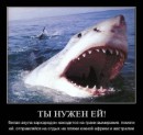Юрій Лисий фотография #29 (источник - https://vk.com/id50758008)