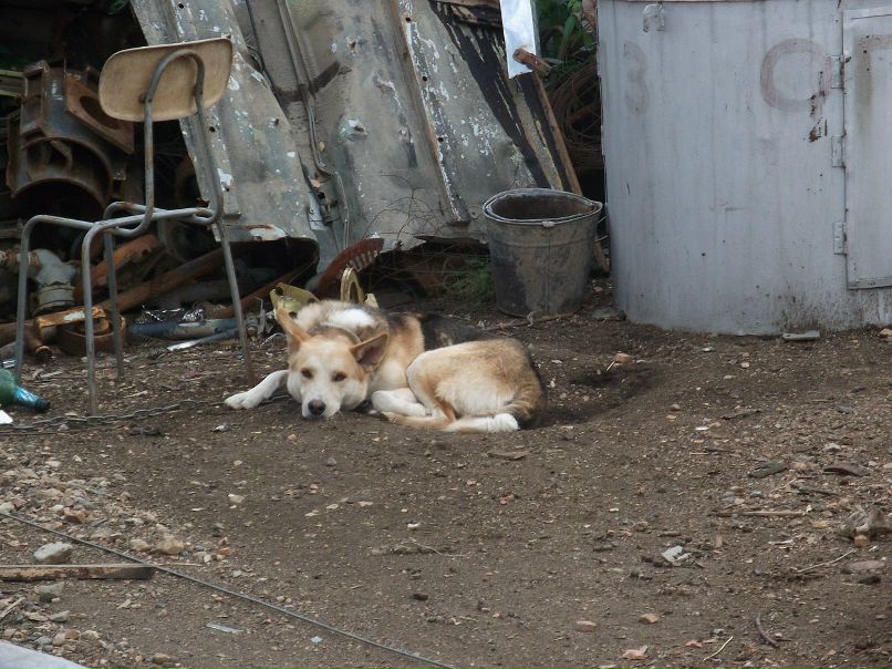 Риян Гайсин фотография #22