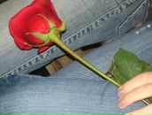 Фотография Шестаковой Людмилы