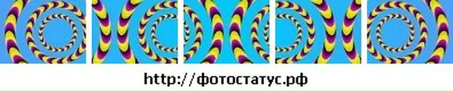 Free Man фотография #30 (источник - https://vk.com/id2415357)