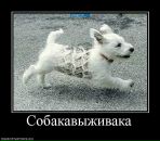 Олег Молофеев фотография #48 (источник - https://vk.com/id96820106)