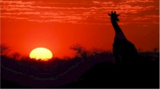 Фотография Веркулич Яны