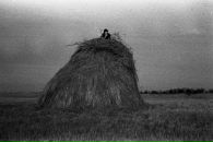 Фотография Лаврушенко Анастасии