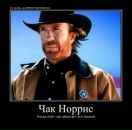 Чак Норіс фотография #1