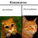 Коля Іотко фотография #8 (источник - https://vk.com/id152807775)