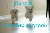 Фотография Николаевой Анастасии