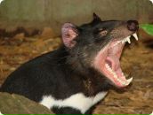 Фотография Христолюбова Игоря