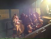 Элина Клеванцева фотография #38 (источник - https://vk.com/id2151113)