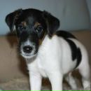 Фотография Шабалиной Люси