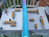 Сергей Перелыгин фотография #4 (источник - https://vk.com/id2391191)