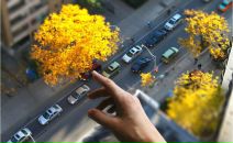 Фотография Бугакиной Елены