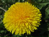 Маряна Сокіл фотография #19 (источник - https://vk.com/id8316949)