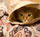 Фотография Жуковой Евгении