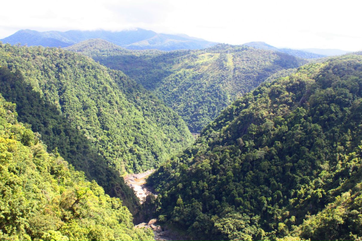 Дмитрий Венгерцев фотография #11