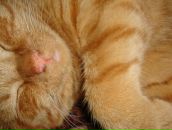 Фотография Дорофеева Геннадия