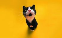 Фотография Лунина Владислава