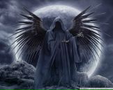 Фотография Никифорова Дениса