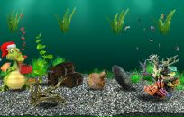 Роман Скікун фотография #48 (источник - https://vk.com/id77803114)