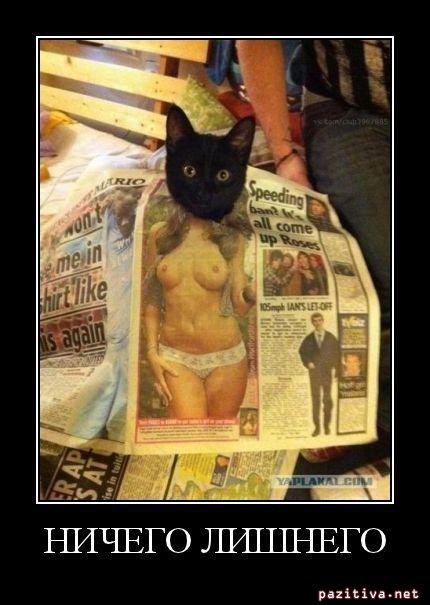 Станислав Моисеев фотография #17