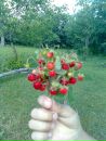 Фотография Масковой Альфиры