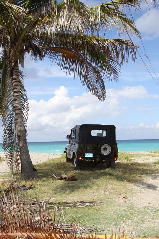 Александр Майков фотография #5