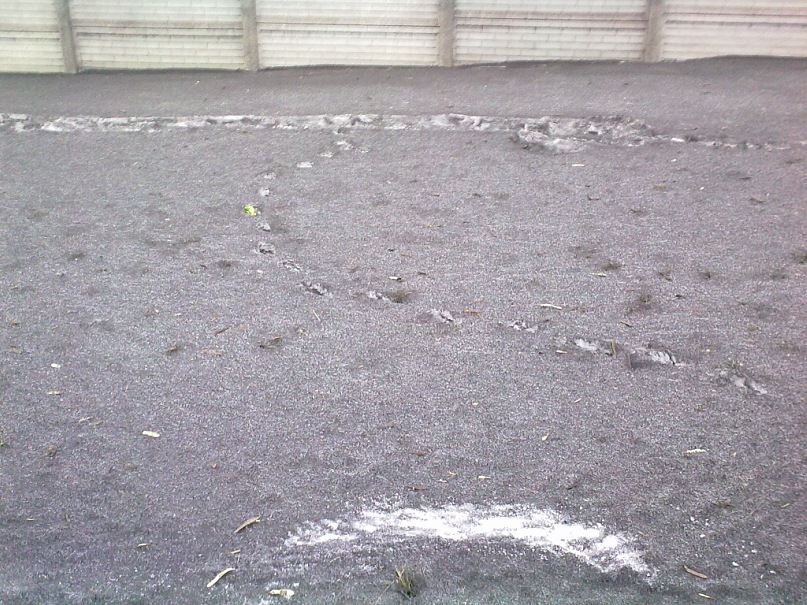 Дмитрий Козин фотография #22