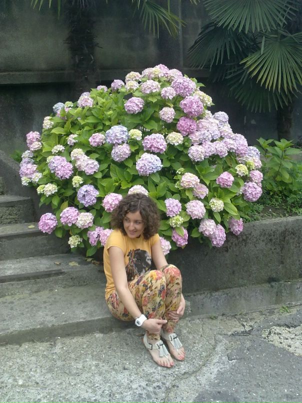 Полин Андре фотография #38