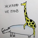 Фотография Podyukova Darinka