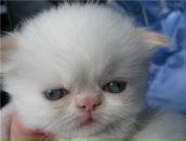 Фотография Метлушки Елены