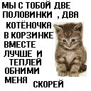 Вікуся Кушнір фотография #38 (источник - https://vk.com/id127092762)