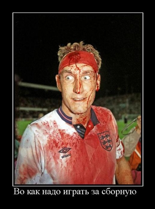 Дмитрий Савченко фотография #4