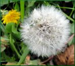 Фотография Коптяева Ивана