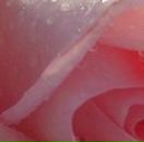 Марічка Саченко фотография #43 (источник - https://vk.com/id147852221)