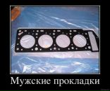 Антон Матійко фотография #26 (источник - https://vk.com/id31452730)