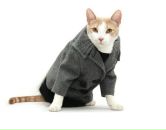 Фотография Кондрусевича Яна