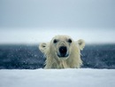 Фотография Малахова Сергея